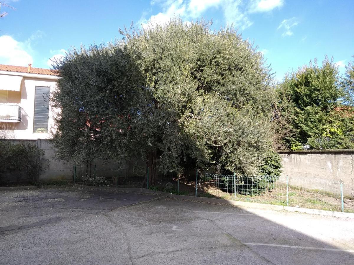 Appartamenti Olivo Vigevano Εξωτερικό φωτογραφία